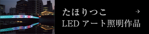 たほりつこ　LEDアート照明作品